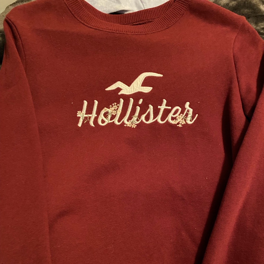 hollister crewneck